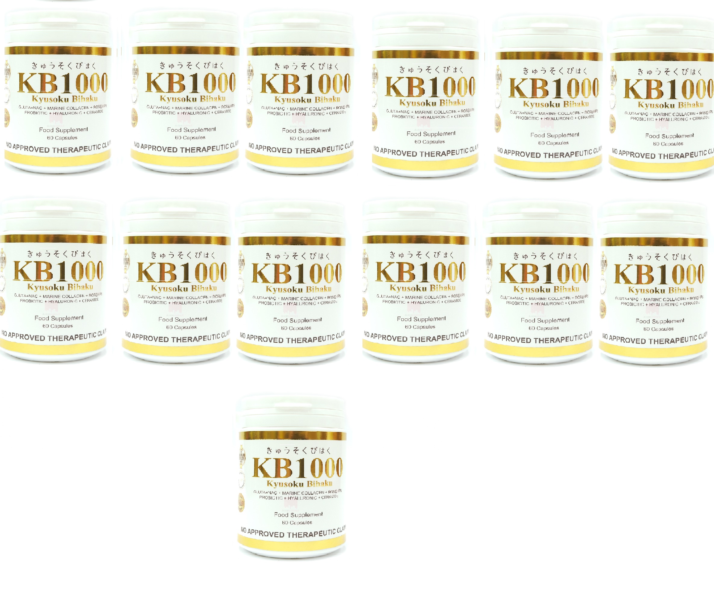 KB 1000 12 Months Supply + 1